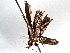  ( - BIOUG63997-D01)  @11 [ ] CreativeCommons - Attribution (2021) Centre for Biodiversity Genomics Centre for Biodiversity Genomics