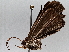  ( - BIOUG63997-D03)  @11 [ ] CreativeCommons - Attribution (2021) Centre for Biodiversity Genomics Centre for Biodiversity Genomics
