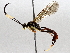  ( - BIOUG63997-H03)  @11 [ ] CreativeCommons - Attribution (2021) Centre for Biodiversity Genomics Centre for Biodiversity Genomics
