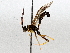  ( - BIOUG63997-H04)  @11 [ ] CreativeCommons - Attribution (2021) Centre for Biodiversity Genomics Centre for Biodiversity Genomics
