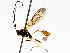  ( - BIOUG63998-A03)  @11 [ ] CreativeCommons - Attribution (2021) Centre for Biodiversity Genomics Centre for Biodiversity Genomics