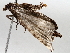 ( - BIOUG63998-F09)  @11 [ ] CreativeCommons - Attribution (2021) Centre for Biodiversity Genomics Centre for Biodiversity Genomics