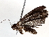  ( - BIOUG63998-G02)  @11 [ ] CreativeCommons - Attribution (2021) Centre for Biodiversity Genomics Centre for Biodiversity Genomics