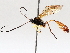 ( - BIOUG63999-B09)  @11 [ ] CreativeCommons - Attribution (2021) Centre for Biodiversity Genomics Centre for Biodiversity Genomics
