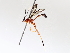  ( - BIOUG63999-D07)  @11 [ ] CreativeCommons - Attribution (2021) Centre for Biodiversity Genomics Centre for Biodiversity Genomics