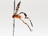  ( - BIOUG63999-D08)  @11 [ ] CreativeCommons - Attribution (2021) Centre for Biodiversity Genomics Centre for Biodiversity Genomics