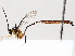  ( - BIOUG63999-D10)  @11 [ ] CreativeCommons - Attribution (2021) Centre for Biodiversity Genomics Centre for Biodiversity Genomics