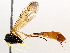  ( - BIOUG63999-G02)  @11 [ ] CreativeCommons - Attribution (2021) Centre for Biodiversity Genomics Centre for Biodiversity Genomics
