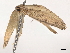  ( - BIOUG64000-B06)  @11 [ ] CreativeCommons - Attribution (2021) CBG Photography Group Centre for Biodiversity Genomics