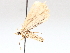 ( - BIOUG64000-B07)  @11 [ ] CreativeCommons - Attribution (2021) CBG Photography Group Centre for Biodiversity Genomics