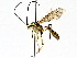  ( - BIOUG64447-A06)  @11 [ ] CreativeCommons - Attribution (2021) Centre for Biodiversity Genomics Centre for Biodiversity Genomics