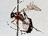  ( - BIOUG64447-C02)  @11 [ ] CreativeCommons - Attribution (2021) Centre for Biodiversity Genomics Centre for Biodiversity Genomics