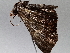  ( - BIOUG64447-D11)  @11 [ ] CreativeCommons - Attribution (2021) Centre for Biodiversity Genomics Centre for Biodiversity Genomics