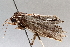  ( - BIOUG64447-E03)  @11 [ ] CreativeCommons - Attribution (2021) Centre for Biodiversity Genomics Centre for Biodiversity Genomics