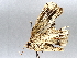  ( - BIOUG64447-E05)  @11 [ ] CreativeCommons - Attribution (2021) Centre for Biodiversity Genomics Centre for Biodiversity Genomics