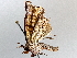  ( - BIOUG64447-F02)  @12 [ ] CreativeCommons - Attribution (2021) Centre for Biodiversity Genomics Centre for Biodiversity Genomics