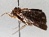  ( - BIOUG64447-F10)  @11 [ ] CreativeCommons - Attribution (2021) Centre for Biodiversity Genomics Centre for Biodiversity Genomics