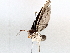  ( - BIOUG64447-H07)  @11 [ ] CreativeCommons - Attribution (2021) Centre for Biodiversity Genomics Centre for Biodiversity Genomics