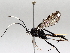  ( - BIOUG64448-E05)  @11 [ ] CreativeCommons - Attribution (2021) Centre for Biodiversity Genomics Centre for Biodiversity Genomics