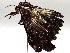  ( - BIOUG64449-B07)  @11 [ ] CreativeCommons - Attribution (2021) Centre for Biodiversity Genomics Centre for Biodiversity Genomics