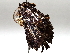  ( - BIOUG64449-B08)  @11 [ ] CreativeCommons - Attribution (2021) Centre for Biodiversity Genomics Centre for Biodiversity Genomics