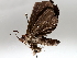  ( - BIOUG64449-B09)  @11 [ ] CreativeCommons - Attribution (2021) Centre for Biodiversity Genomics Centre for Biodiversity Genomics