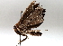  ( - BIOUG64449-B11)  @11 [ ] CreativeCommons - Attribution (2021) Centre for Biodiversity Genomics Centre for Biodiversity Genomics