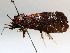  ( - BIOUG64449-C01)  @11 [ ] CreativeCommons - Attribution (2021) Centre for Biodiversity Genomics Centre for Biodiversity Genomics