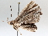 ( - BIOUG64449-C02)  @11 [ ] CreativeCommons - Attribution (2021) Centre for Biodiversity Genomics Centre for Biodiversity Genomics