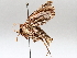  ( - BIOUG64449-C05)  @11 [ ] CreativeCommons - Attribution (2021) Centre for Biodiversity Genomics Centre for Biodiversity Genomics