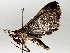  ( - BIOUG64449-C11)  @11 [ ] CreativeCommons - Attribution (2021) Centre for Biodiversity Genomics Centre for Biodiversity Genomics
