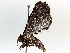  ( - BIOUG64449-D02)  @11 [ ] CreativeCommons - Attribution (2021) Centre for Biodiversity Genomics Centre for Biodiversity Genomics
