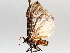  ( - BIOUG64449-D04)  @11 [ ] CreativeCommons - Attribution (2021) Centre for Biodiversity Genomics Centre for Biodiversity Genomics