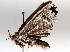  ( - BIOUG64449-E04)  @11 [ ] CreativeCommons - Attribution (2021) Centre for Biodiversity Genomics Centre for Biodiversity Genomics
