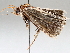  ( - BIOUG64449-E05)  @11 [ ] CreativeCommons - Attribution (2021) Centre for Biodiversity Genomics Centre for Biodiversity Genomics