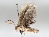  ( - BIOUG64449-E06)  @11 [ ] CreativeCommons - Attribution (2021) Centre for Biodiversity Genomics Centre for Biodiversity Genomics