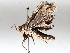  ( - BIOUG64449-E07)  @11 [ ] CreativeCommons - Attribution (2021) Centre for Biodiversity Genomics Centre for Biodiversity Genomics