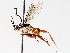  ( - BIOUG64450-A09)  @11 [ ] CreativeCommons - Attribution (2021) Centre for Biodiversity Genomics Centre for Biodiversity Genomics