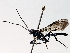  ( - BIOUG64450-A10)  @11 [ ] CreativeCommons - Attribution (2021) Centre for Biodiversity Genomics Centre for Biodiversity Genomics