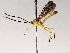  (atroMalaise01 Malaise4650 - BIOUG64450-A12)  @11 [ ] CreativeCommons - Attribution (2021) Centre for Biodiversity Genomics Centre for Biodiversity Genomics