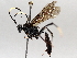  ( - BIOUG64450-D04)  @11 [ ] CreativeCommons - Attribution (2021) Centre for Biodiversity Genomics Centre for Biodiversity Genomics