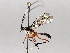  ( - BIOUG64450-D09)  @11 [ ] CreativeCommons - Attribution (2021) Centre for Biodiversity Genomics Centre for Biodiversity Genomics