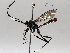  ( - BIOUG64450-D10)  @11 [ ] CreativeCommons - Attribution (2021) Centre for Biodiversity Genomics Centre for Biodiversity Genomics