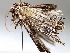  ( - BIOUG64450-E11)  @11 [ ] CreativeCommons - Attribution (2021) Centre for Biodiversity Genomics Centre for Biodiversity Genomics