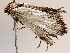  ( - BIOUG64450-G01)  @11 [ ] CreativeCommons - Attribution (2021) Centre for Biodiversity Genomics Centre for Biodiversity Genomics