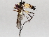  ( - BIOUG64451-F06)  @11 [ ] CreativeCommons - Attribution (2021) Centre for Biodiversity Genomics Centre for Biodiversity Genomics