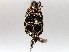  ( - BIOUG64451-F10)  @11 [ ] CreativeCommons - Attribution (2021) Centre for Biodiversity Genomics Centre for Biodiversity Genomics