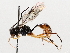  ( - BIOUG71236-G06)  @11 [ ] CreativeCommons - Attribution (2021) Centre for Biodiversity Genomics Centre for Biodiversity Genomics