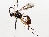  ( - BIOUG71236-G07)  @11 [ ] CreativeCommons - Attribution (2021) Centre for Biodiversity Genomics Centre for Biodiversity Genomics