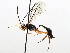  ( - BIOUG71236-H05)  @11 [ ] CreativeCommons - Attribution (2021) Centre for Biodiversity Genomics Centre for Biodiversity Genomics
